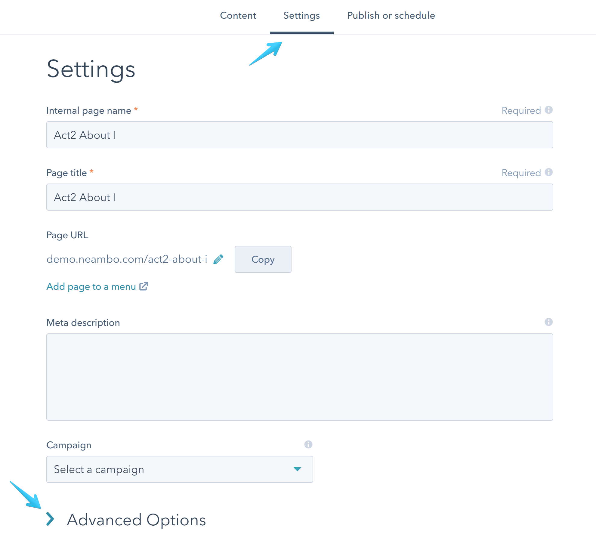 Act2 Page Editor Advanced Options