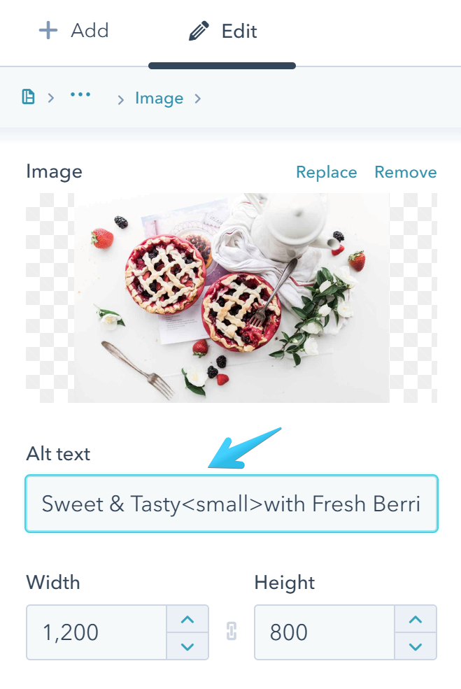 Act2 Template Builder Advanced Gallery Image Module Alt Text