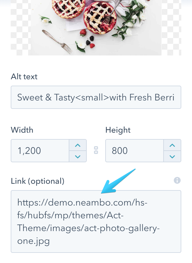Act2 Advanced Gallery Image Module Link URL
