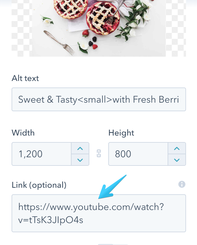 Act2 Advanced Gallery Image Module Link URL YouTube Video
