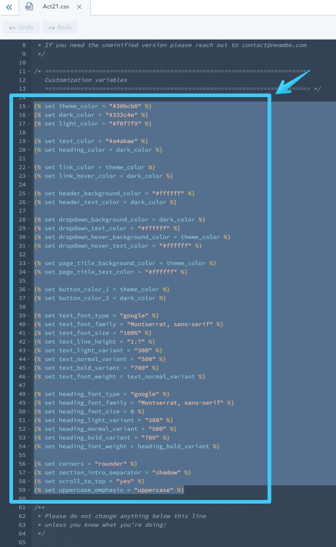 Act21 Customization Code