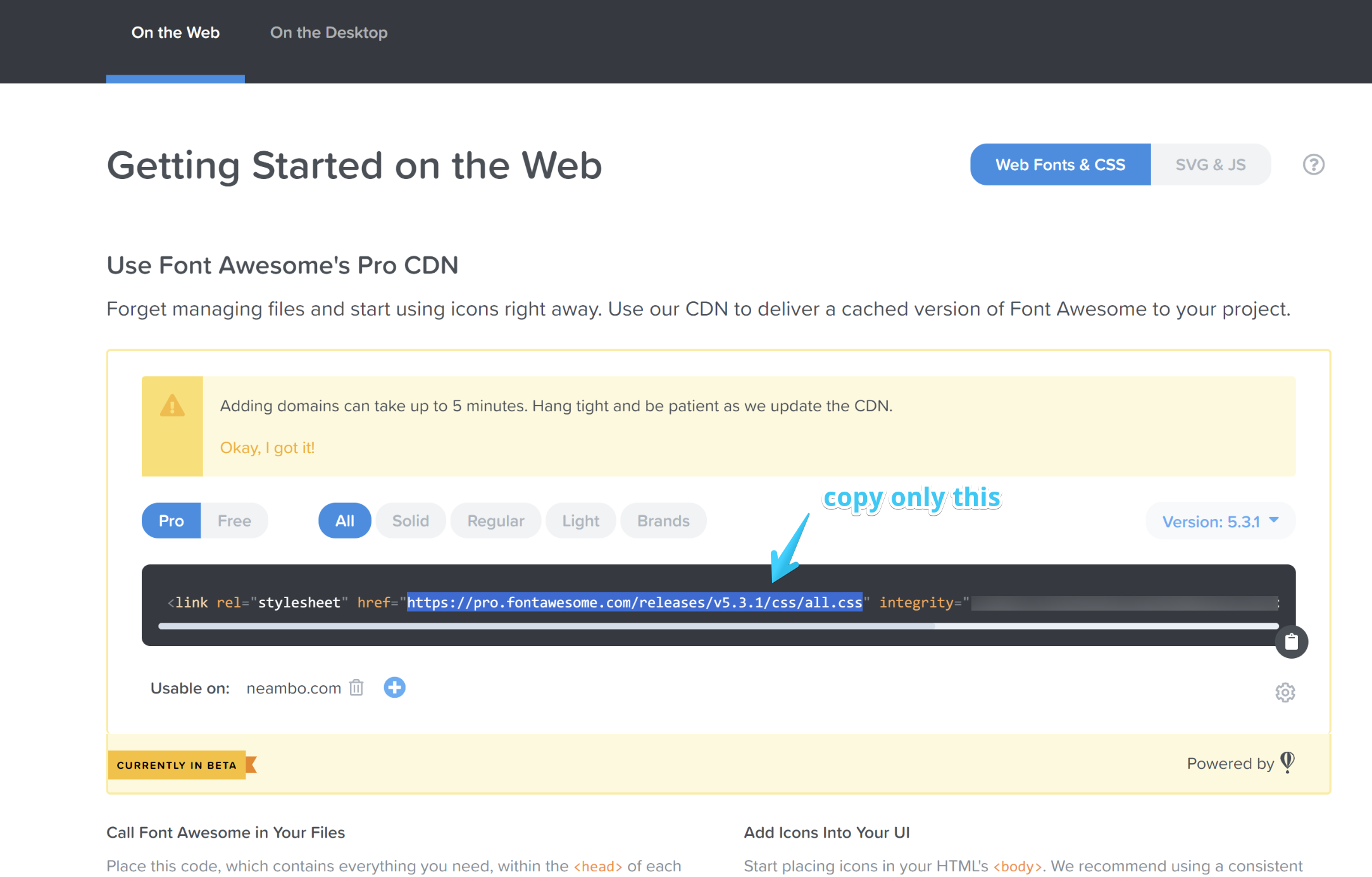 Act2.1 Font Awesome 5 Pro Integration - Copy CSS file path